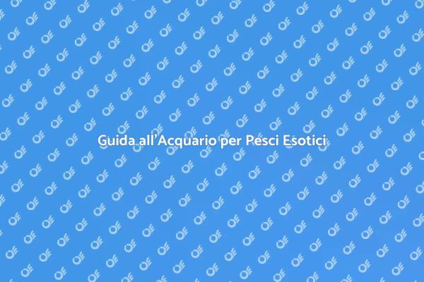 Come Creare un Acquario Ideale