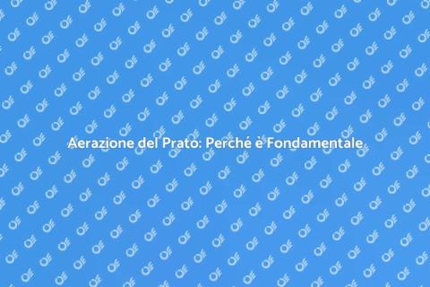 Aerare il Prato in Estate: Guida Essenziale