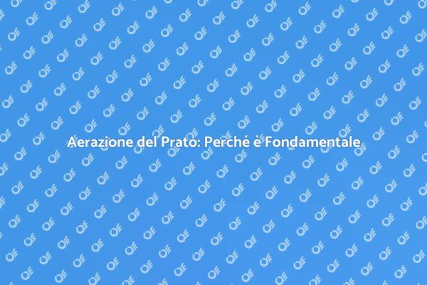 Perché Aerare il Prato in Estate?