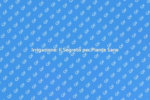 Sistema di Irrigazione Efficiente