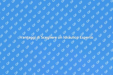 Idraulico Professionista: Perché Sceglierlo