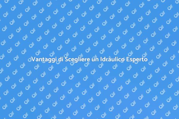 Perché Affidarsi a un Idraulico Professionista