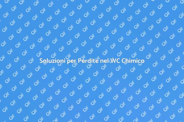 Riparazione Efficace per WC Chimico