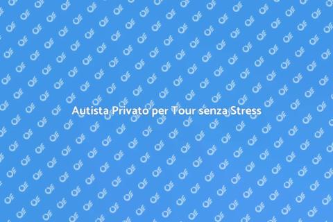 Servizio Autista Privato per Escursioni
