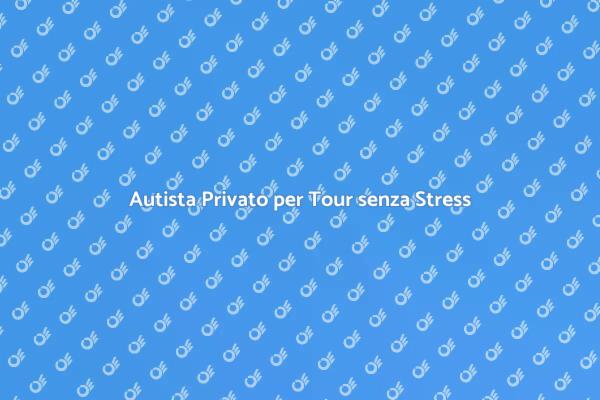 Comfort e Professionalità in Ogni Viaggio