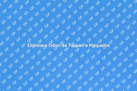 Rimuovere Odori da Moquette e Tappeti