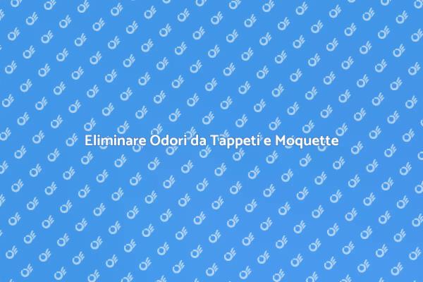 Come Eliminare Odori da Moquette