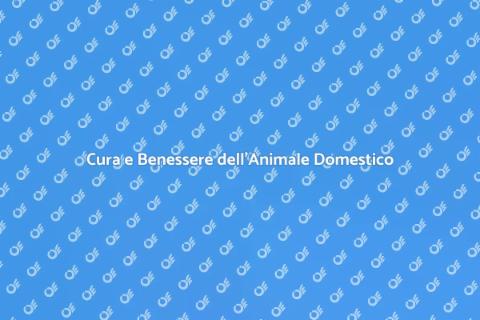 Mantenere un Animale Domestico