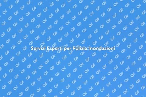 Pulizia Inondazioni Professionale