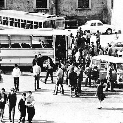 Noleggio Bus D'Amico