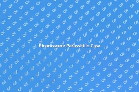 Diagnostica Parassiti in Casa