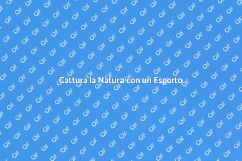 Assumere un Fotografo Naturalista