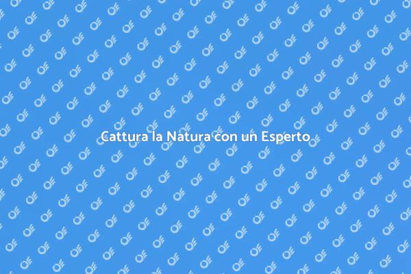 Trova il Tuo Fotografo della Natura