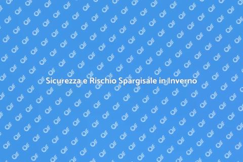 Gestione Rischio Spargisale in Casa
