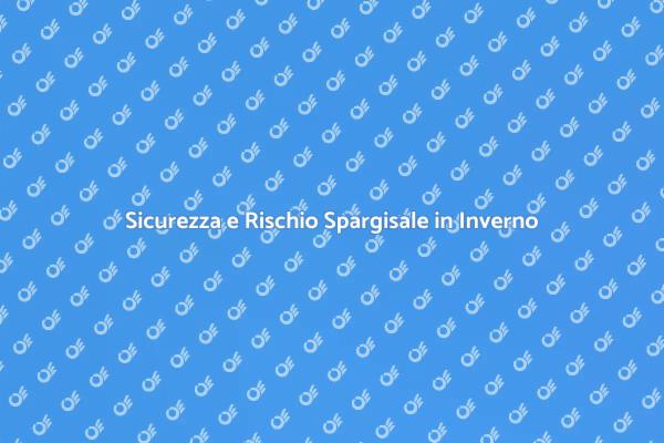Sicurezza Invernale: Gestione Spargisale