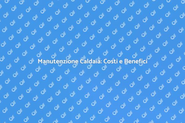 Caldaia: Prezzi e Assistenza Necessaria