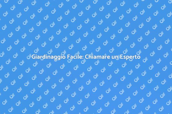 Trasforma il Tuo Giardino con un Professionista
