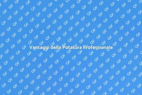 Potatura Professionale per il Giardino