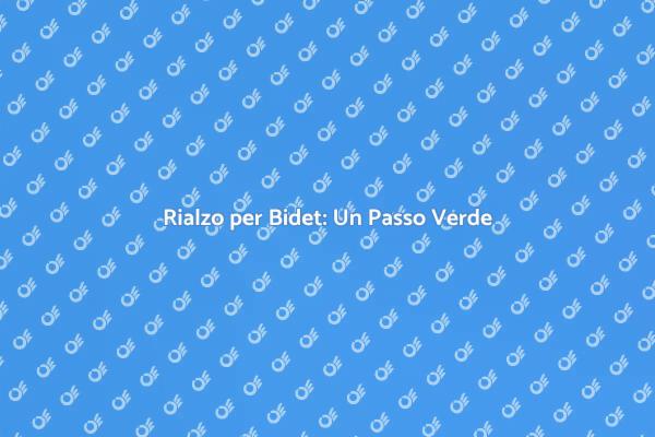 Rialzo Bidet: Igiene e Sostenibilità