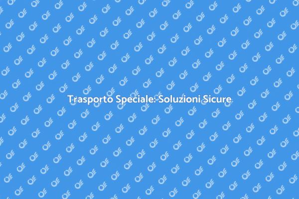 Trasporto Speciale: Affidati a Noi
