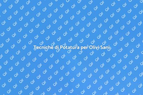 Potatura Olivo: Massimizza il Raccolto