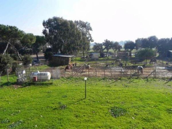 Le residenze della terza eta - Foto 4