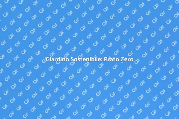 Prato Sostenibile: Scopri Come!