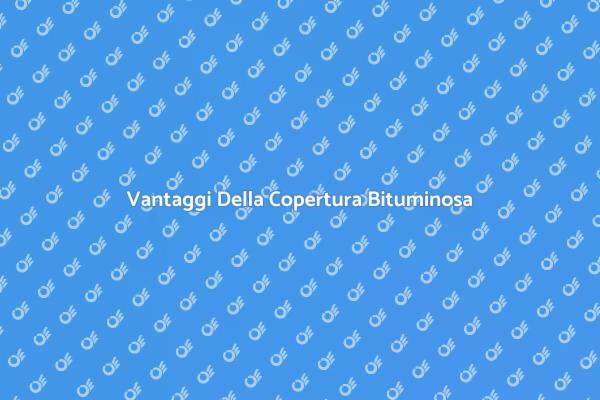 Proteggi la Tua Casa con Bitume
