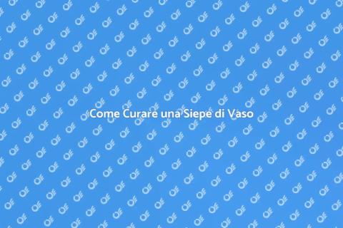 Curare una Siepe di Vaso con Amore