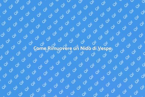 Rimozione Nido di Vespe: Guida Pratica