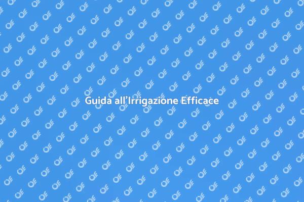 Installazione di un Sistema d'Irrigazione