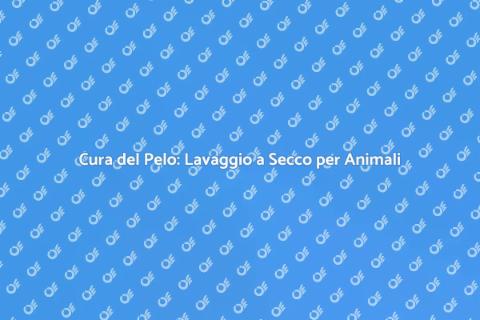 Lavaggio a Secco per Animali Domestici