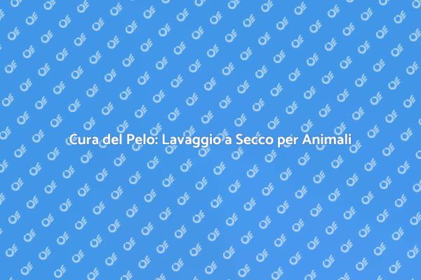 Lavaggio a Secco: Igiene per i Tuoi Animali