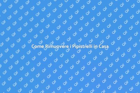 Rimozione Pipistrelli: Guida Completa