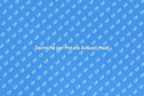 Potare un Arbusto di Dimensioni Medie