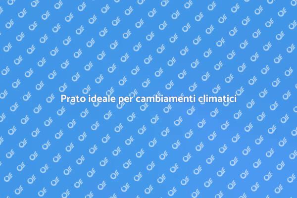 Scelta del prato per il tuo giardino