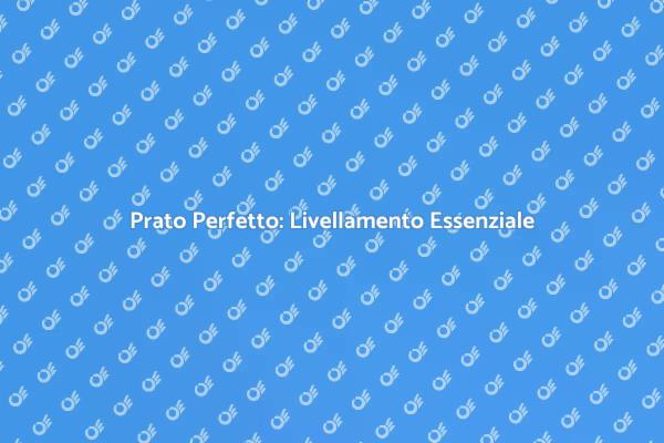 Livellamento Prato: Tecniche e Vantaggi