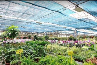 Florgarden  - Foto 7