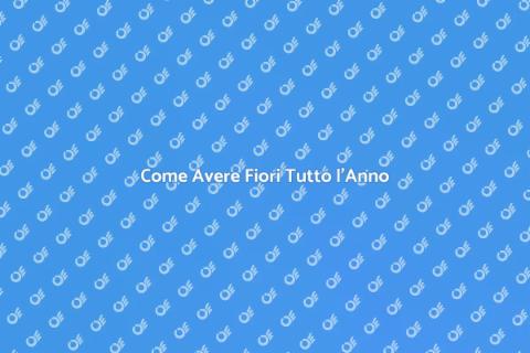 Giardino Fiorito Tutto l'Anno