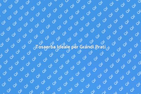 Tosaerba a Benzina per Prati Grandi