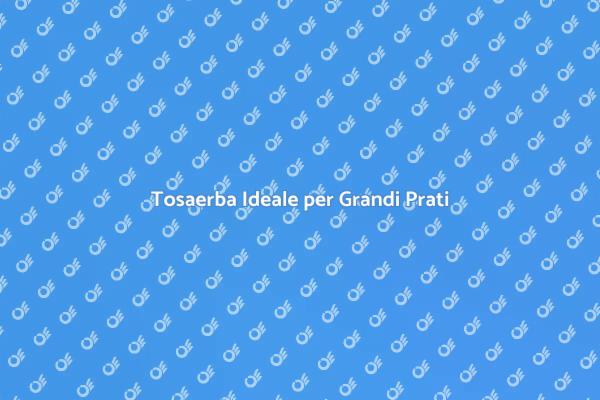 Il Tosaerba Perfetto per Prati Ampi