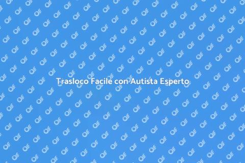Noleggiare Autista Esperto per Traslochi
