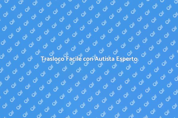 Semplifica il Tuo Trasloco con un Autista