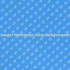 Innovazione nell'Accessibilità: Alzawater