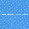 Manutenzione Caldaia: Essenziale per Te
