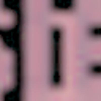 Santarsiero