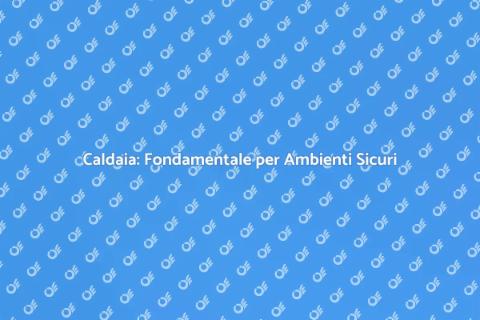 Installazione Caldaia Complesso Industriale