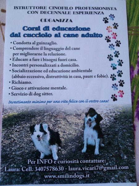 Lauretta Vicari Smiling Dogs - Foto 9