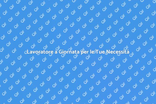 Assumi un Professionista a Giornata