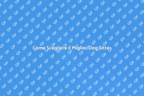 Dog Sitter: Affida il Tuo Amico